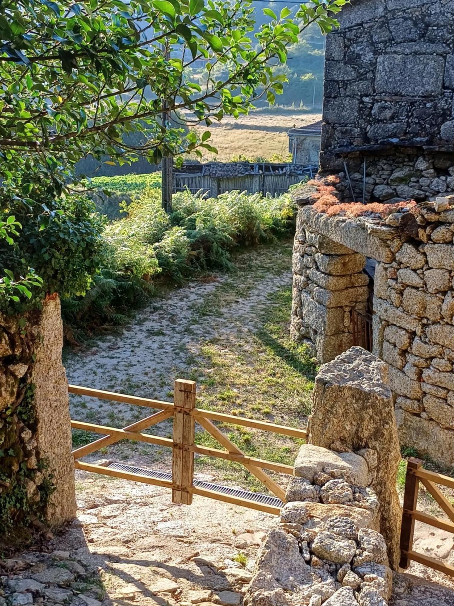 Levada Da Breca - * Ervedeiros