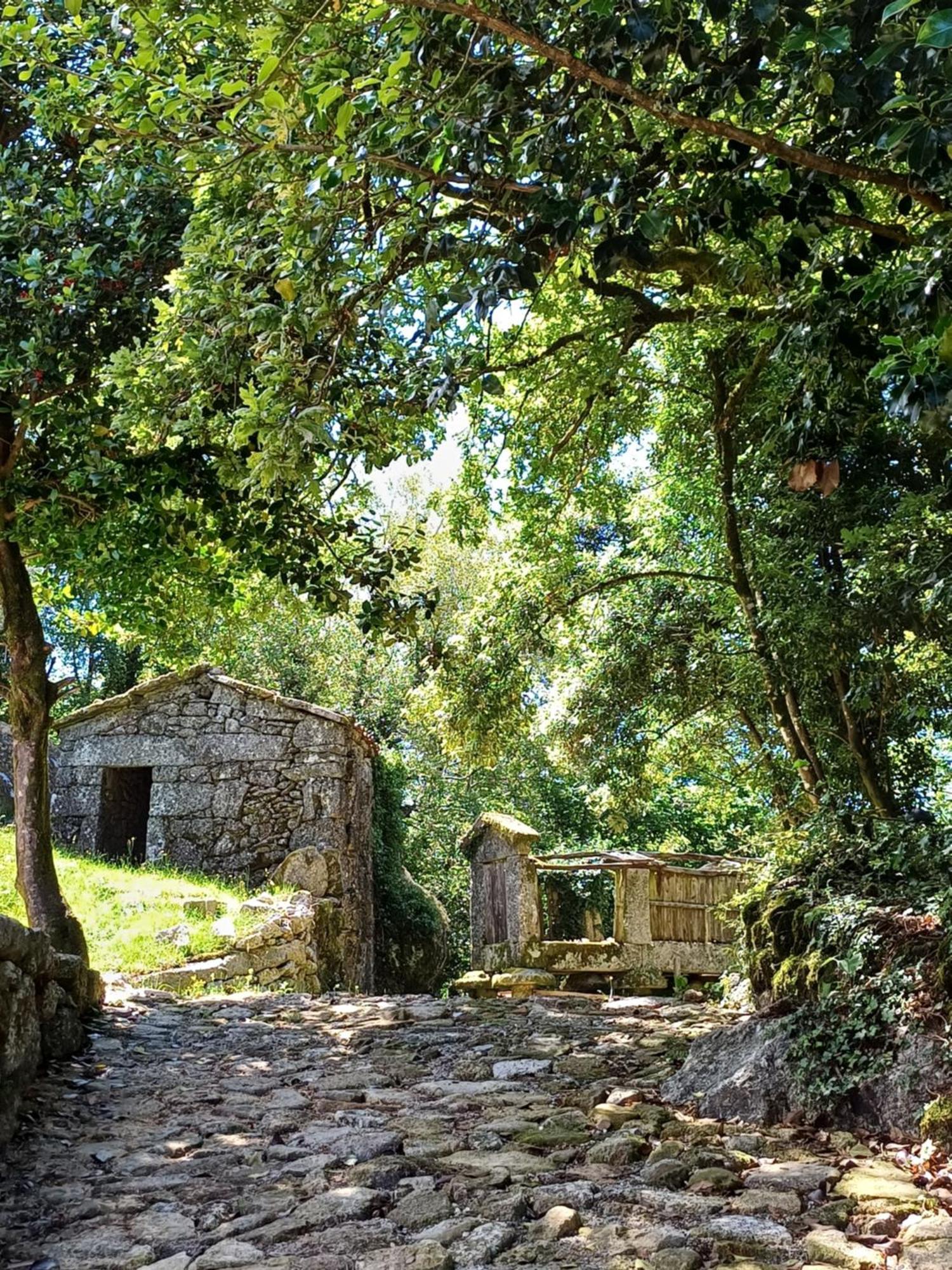 Holiday home Levada Da Breca - Ervedeiros